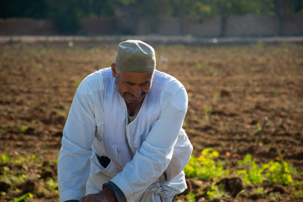 MED-LINKS EU Project, farmer in the field